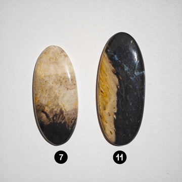 Raíz de Palma Fosilizada de Indonesia Cabujones Ovalados