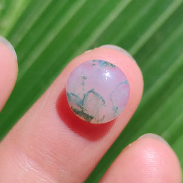 Moss Agate Round Cabochon - 11×4 mm