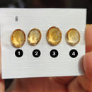 Faceted Oval Citrine no. 3-3