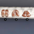 Cabujones Pares de Jaspe Coco-2