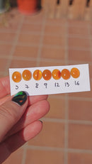 Cabujones Ovalados Ópalo de Fuego de Oregón 10x8mm FOTOS-3