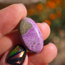 Stichtita Cabujón Ovalado Pequeño-3