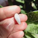 Cabujón Forma Libre de Ópalo Australiano nr.16-2