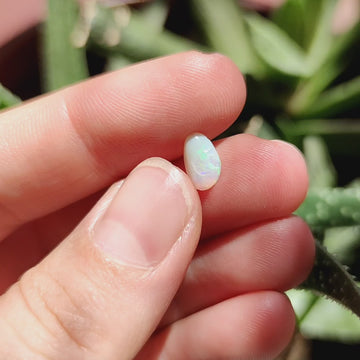 Cabujón Forma Libre de Ópalo Australiano nr.11 - 0