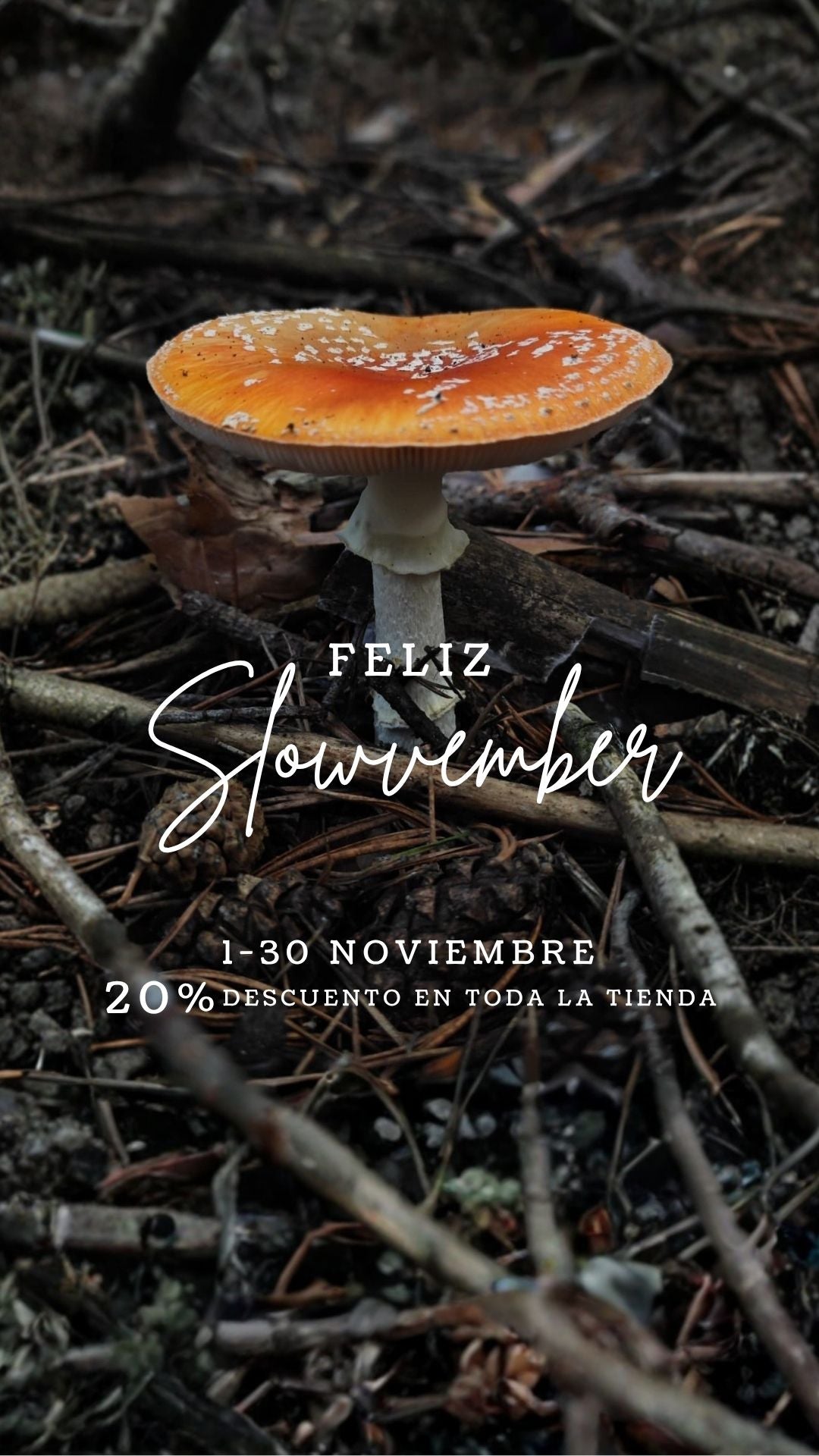 Slowvember 2025 banner post de instagram 45