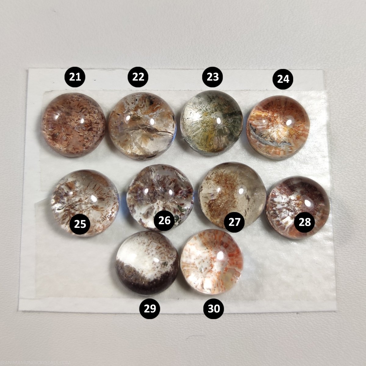 Cabujones de Lodolita de 10-12 mm - Cristales Anima Mundi