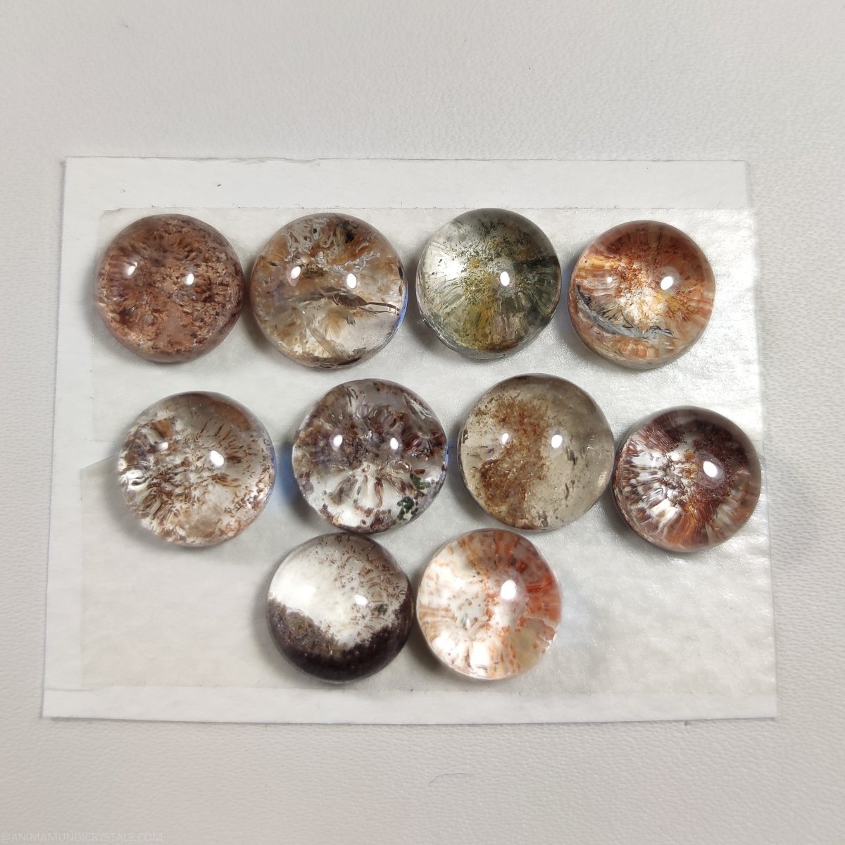 10-12mm Lodolite Cabochons - Anima Mundi Crystals