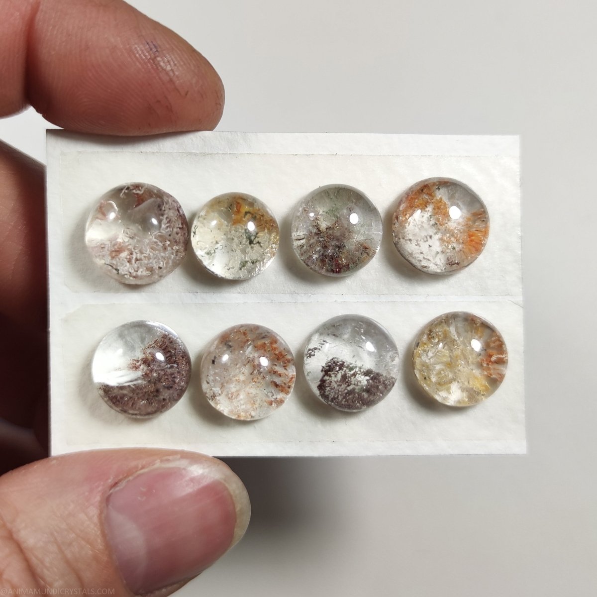 10–12 mm Lodolit-Cabochons – Anima Mundi-Kristalle