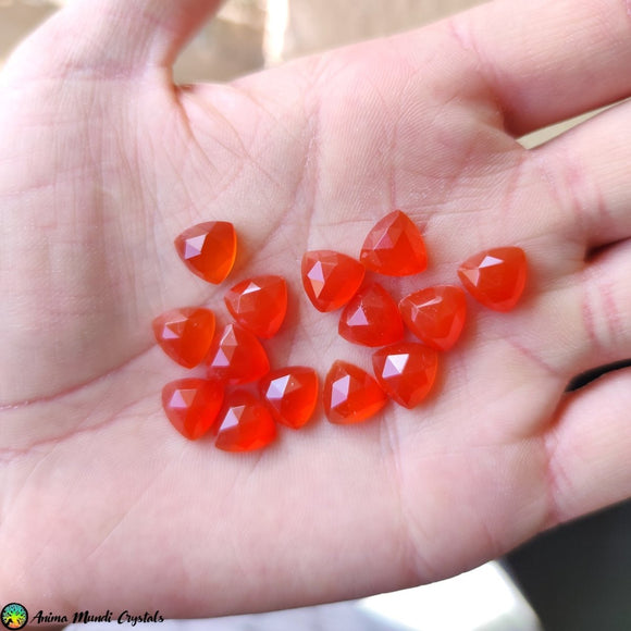 10mm Triangle Faceted Red Onyx - Anima Mundi Crystals