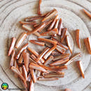 11x Shell Spikes Orange Dyed Mother of Pearl Shell - Anima Mundi Crystals