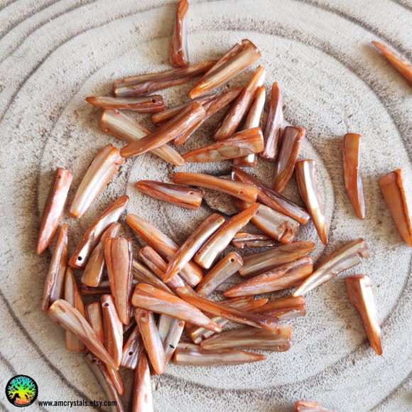 11x Shell Spikes Orange Dyed Mother of Pearl Shell - Anima Mundi Crystals