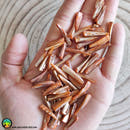 11x Shell Spikes Orange Dyed Mother of Pearl Shell - Anima Mundi Crystals