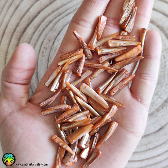11x Shell Spikes Orange Dyed Mother of Pearl Shell - Anima Mundi Crystals