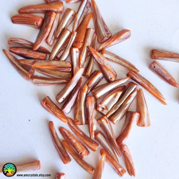 11x Shell Spikes Orange Dyed Mother of Pearl Shell - Anima Mundi Crystals