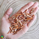 11x Shell Spikes Orange Dyed Mother of Pearl Shell - Anima Mundi Crystals
