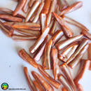 11x Shell Spikes Orange Dyed Mother of Pearl Shell - Anima Mundi Crystals