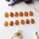 14x10mm Fire Opal from Oregon - Oval - Anima Mundi Crystals