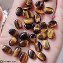 14x10mm Tiger Eye Cabochon - Anima Mundi Crystals