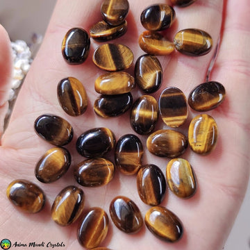 14x10mm Tiger Eye Cabochon - Anima Mundi Crystals