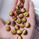 16mm Tiger Eye Round Cabochon - Anima Mundi Crystals