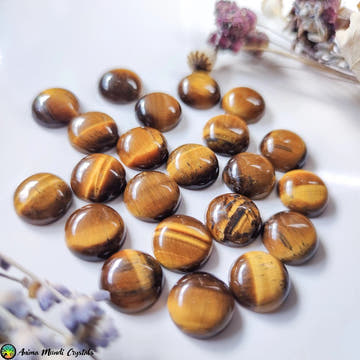 16mm Tiger Eye Round Cabochon - Anima Mundi Crystals