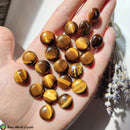 16mm Tiger Eye Round Cabochon - Anima Mundi Crystals