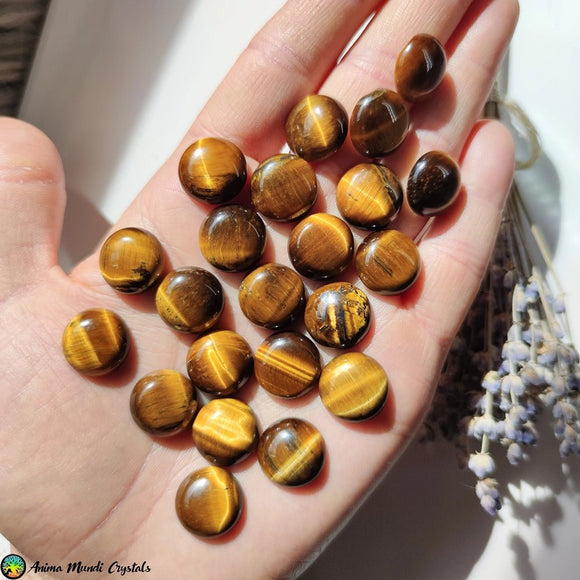 16mm Tiger Eye Round Cabochon - Anima Mundi Crystals