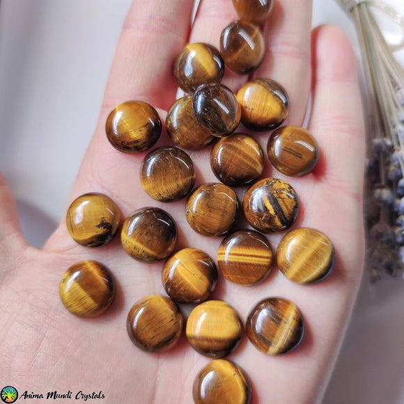 16mm Tiger Eye Round Cabochon - Anima Mundi Crystals
