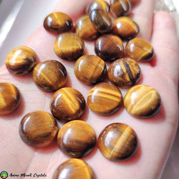 16mm Tiger Eye Round Cabochon - Anima Mundi Crystals