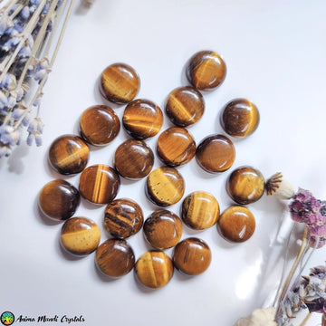 16mm Tiger Eye Round Cabochon - Anima Mundi Crystals