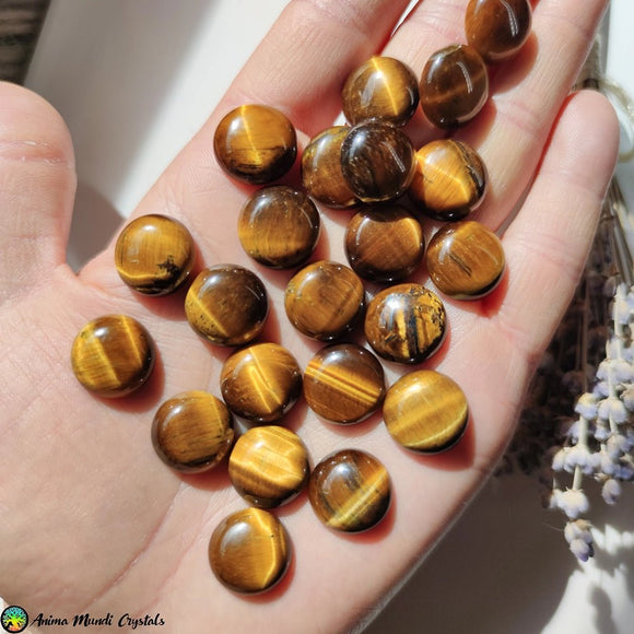 16mm Tiger Eye Round Cabochon - Anima Mundi Crystals
