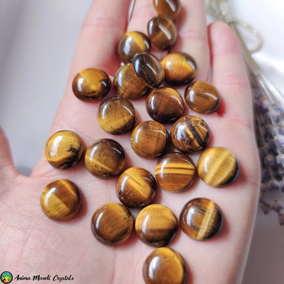 16mm Tiger Eye Round Cabochon - Anima Mundi Crystals