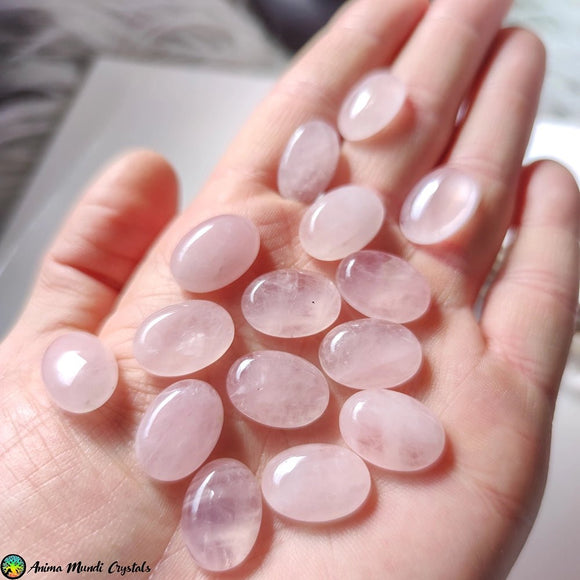 18x13mm Rose Quartz Oval Cabochon - Anima Mundi Crystals