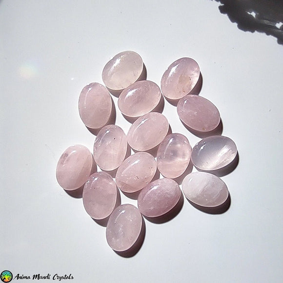 18x13mm Rose Quartz Oval Cabochon - Anima Mundi Crystals