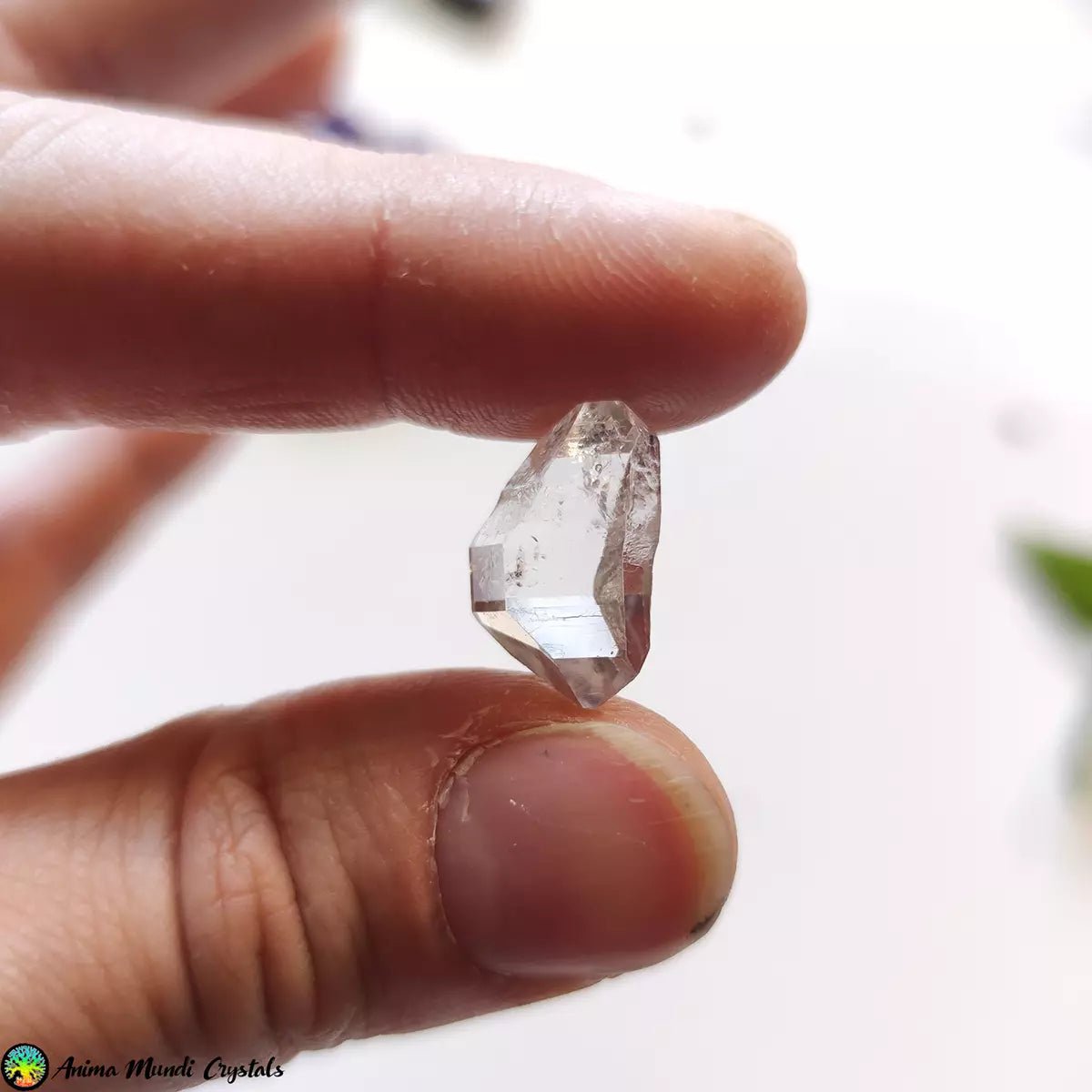 19 mm "Herkimer" met vloeiende insluiting diamantkwarts - Anima Mundi-kristallen
