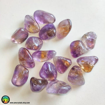 1x Ametrine Tumbled Stone - Anima Mundi Crystals