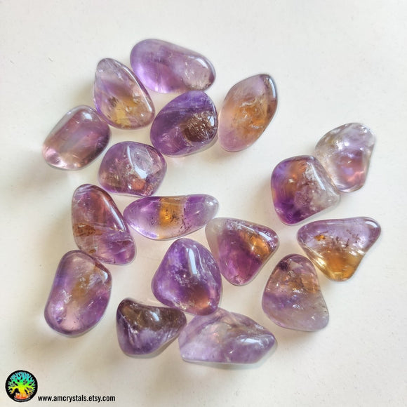 1x Ametrine Tumbled Stone - Anima Mundi Crystals