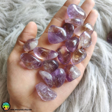 1x Ametrine Tumbled Stone - Anima Mundi Crystals