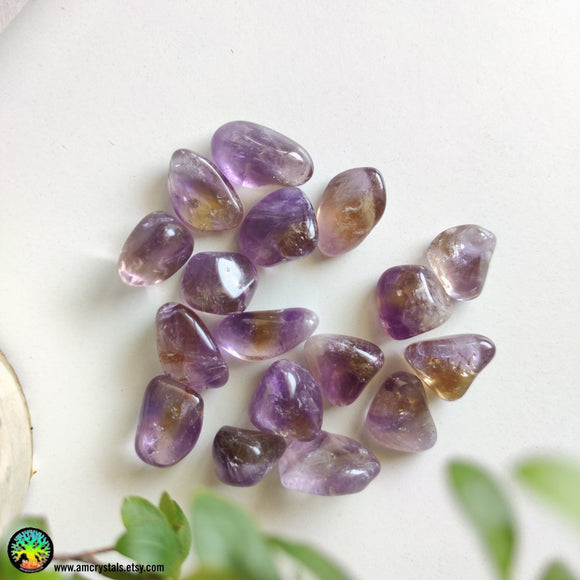 1x Ametrine Tumbled Stone - Anima Mundi Crystals