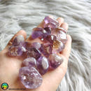 1x Ametrine Tumbled Stone - Anima Mundi Crystals