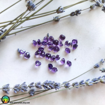 1x Faceted Amethyst Heart Shape Crystal - Anima Mundi Crystals