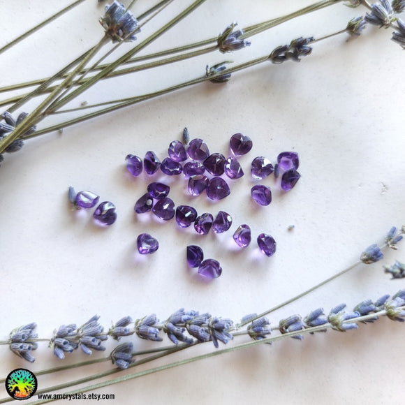 1x Faceted Amethyst Heart Shape Crystal - Anima Mundi Crystals