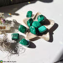 1x Malachite Tumbled Stones - Anima Mundi Crystals