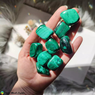 1x Malachite Tumbled Stones - Anima Mundi Crystals