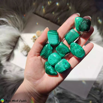 1x Malachite Tumbled Stones - Anima Mundi Crystals