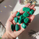 1x Malachite Tumbled Stones - Anima Mundi Crystals