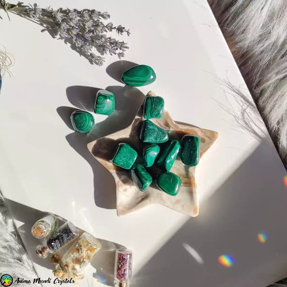 1x Malachite Tumbled Stones - Anima Mundi Crystals