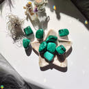 1x Malachite Tumbled Stones - Anima Mundi Crystals