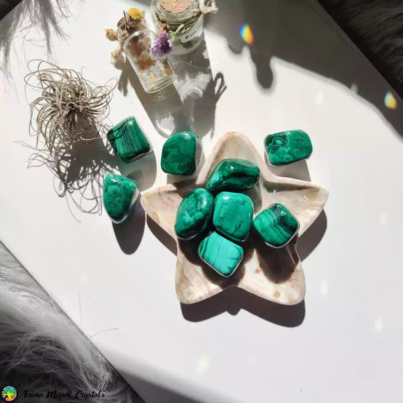 1x Malachite Tumbled Stones - Anima Mundi Crystals