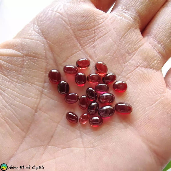 1x Oval Rhodolite Garnet Small Cabochons - Anima Mundi Crystals